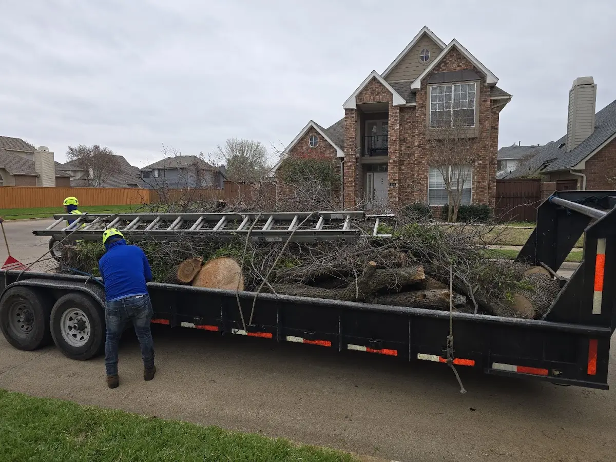 Expert Tree Fertilization with proper safety equipment in Manitou Springs